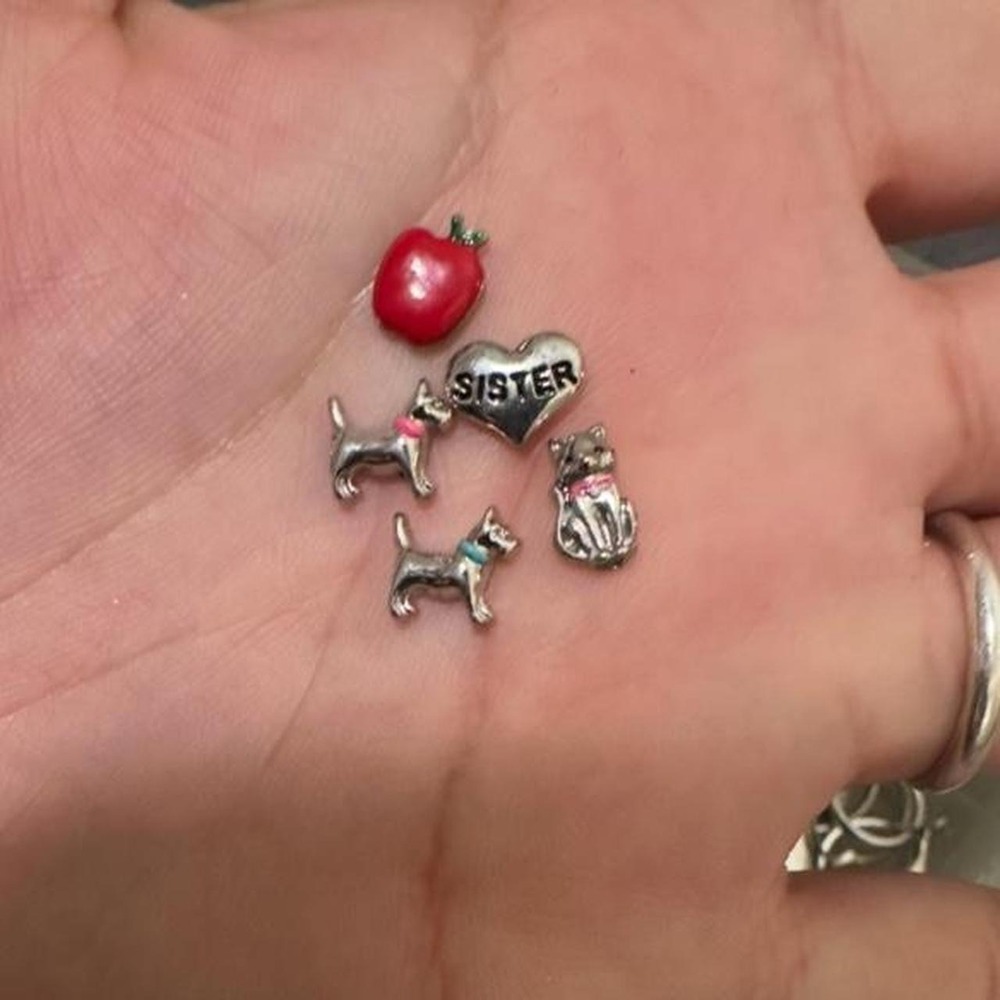 Silver charm origami owl lot with 5 charms and locket